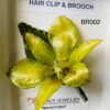 Real Orchid Hair Clip/Brooch