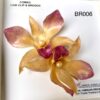 Real Orchid Hair Clip/Brooch